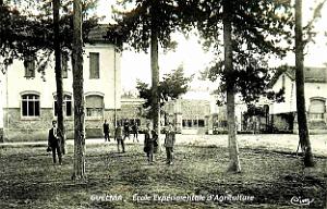 Guelma - Ecole Experimentale d'Agriculture